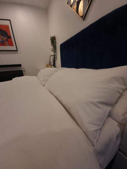 Cozy Modern Flat In Angel Islington Londra