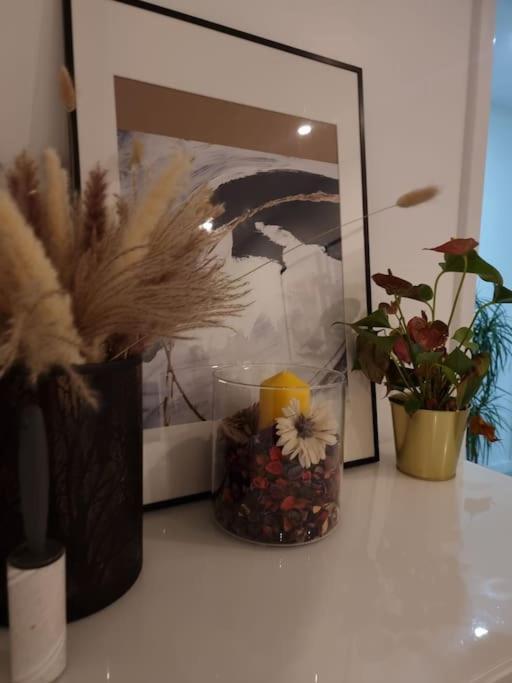 Cozy Modern Flat In Angel Islington * Londra