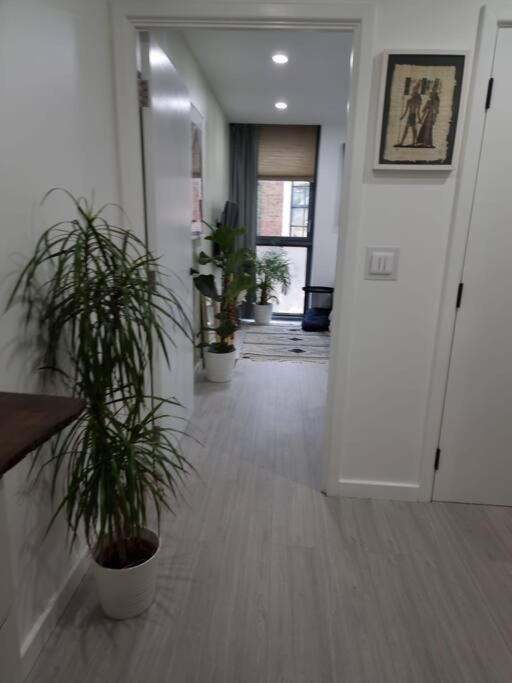 Cozy Modern Flat In Angel Islington Appartamento