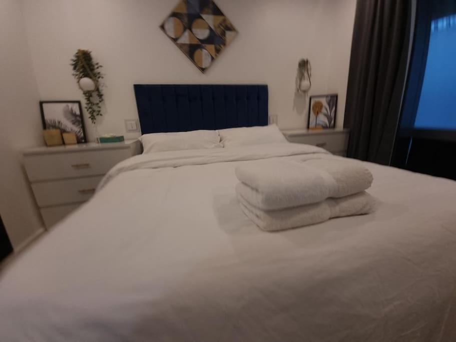Cozy Modern Flat In Angel Islington Londra